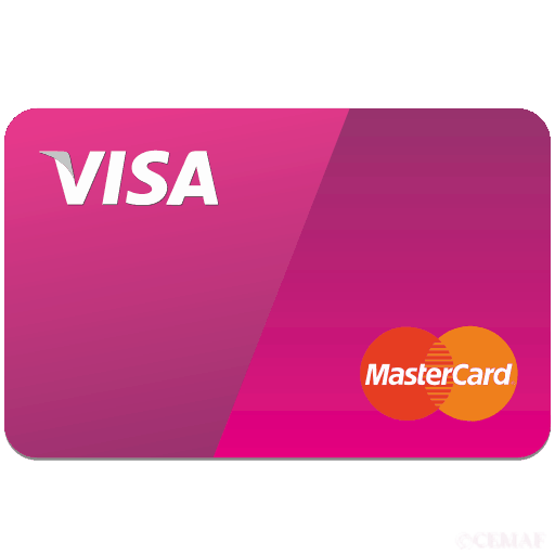 Visa card